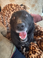 /album/18/whatsapp-image-2026-04-17-at-11-01-11-2-jpeg/